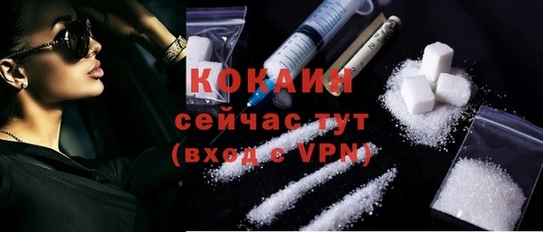 дживик Навашино