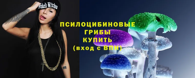 как найти   кракен как войти  Галлюциногенные грибы MAGIC MUSHROOMS  Белый 